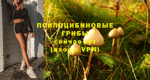 MDMA Premium VHQ Аркадак