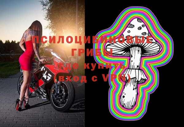 MDMA Premium VHQ Аркадак